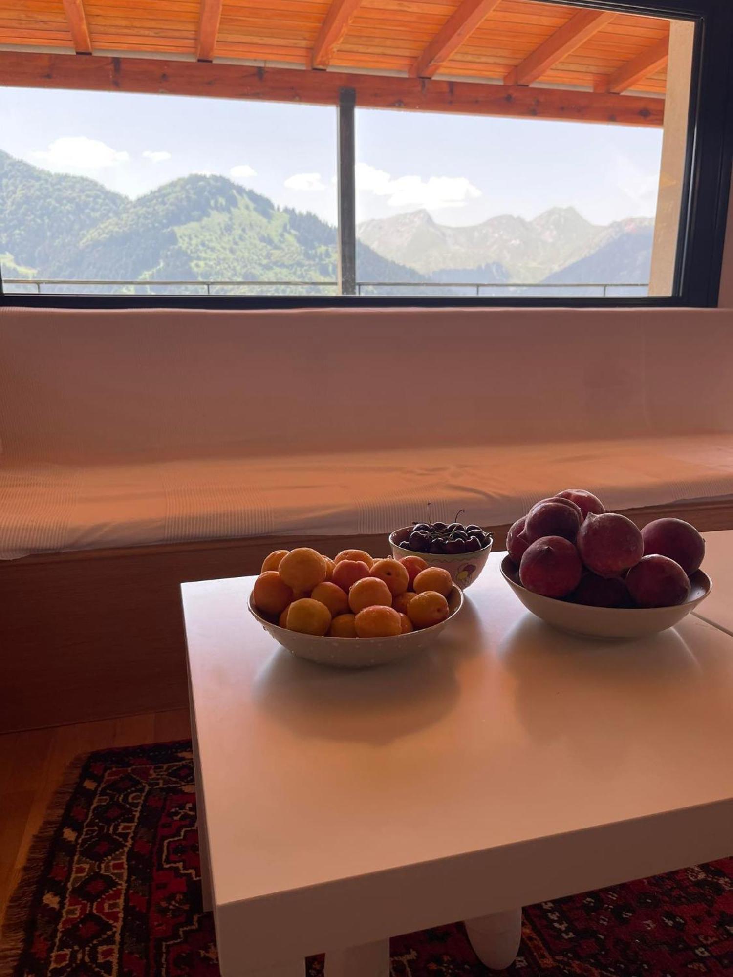 Apartment Kostis Loft Metsovo